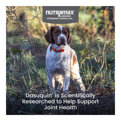 Nutramax Dasuquin with MSM for Small to Medium Dogs, Joint Health Supplement, Chewable Tablets, 84 Count