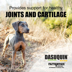Nutramax Dasuquin with MSM for Small to Medium Dogs, Joint Health Supplement, Chewable Tablets, 84 Count