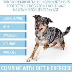 K9 Optimal Joint Health Soft Chew, 60 ct