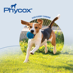 Phycox Canine Joint Support Soft Chews, 120 ct