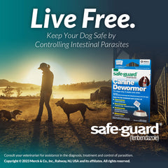 Safe-Guard Canine Dewormer Three 4 gram Pouches