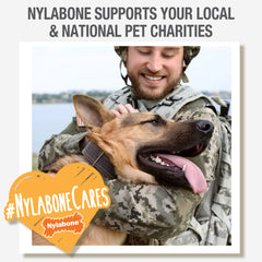 Nylabone Power Chew Ring Dog Chew Toy Original 1ea/Large/Giant - Up To 50 lb