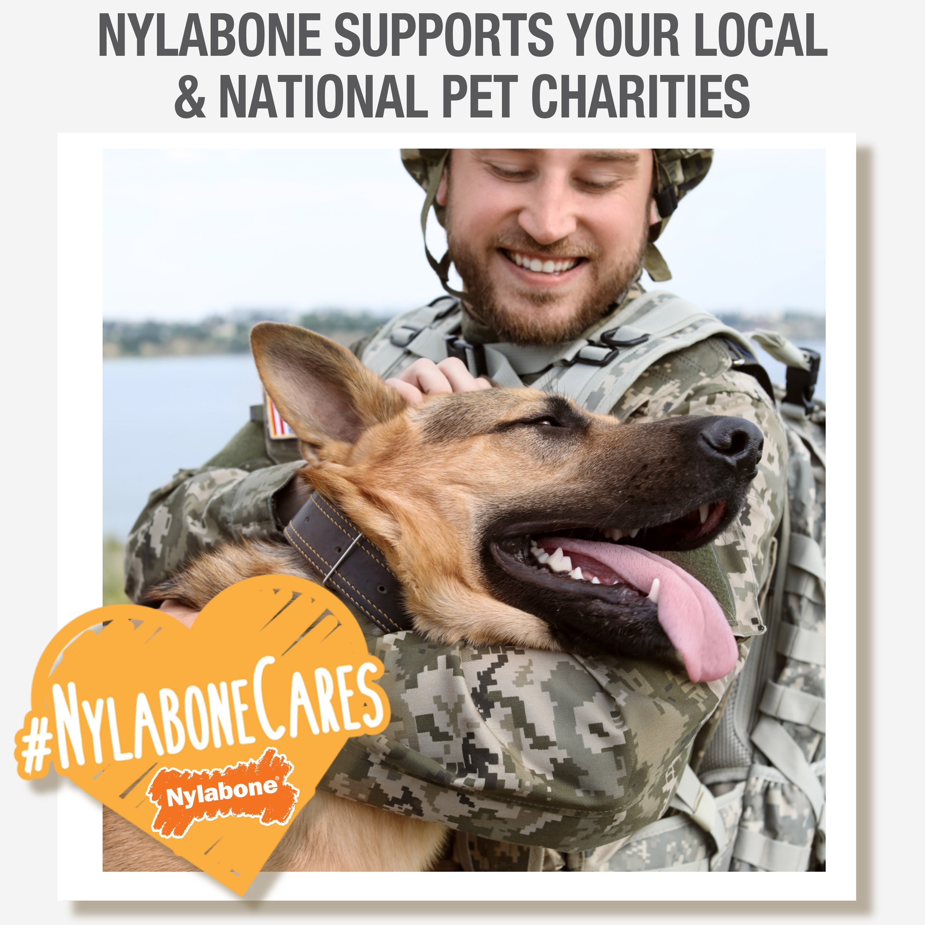 Nylabone Healthy Edibles AllNatural Long Lasting Bacon Chew Treats Bacon, Medium/Wolf Up To 35 Lbs. 1 ct
