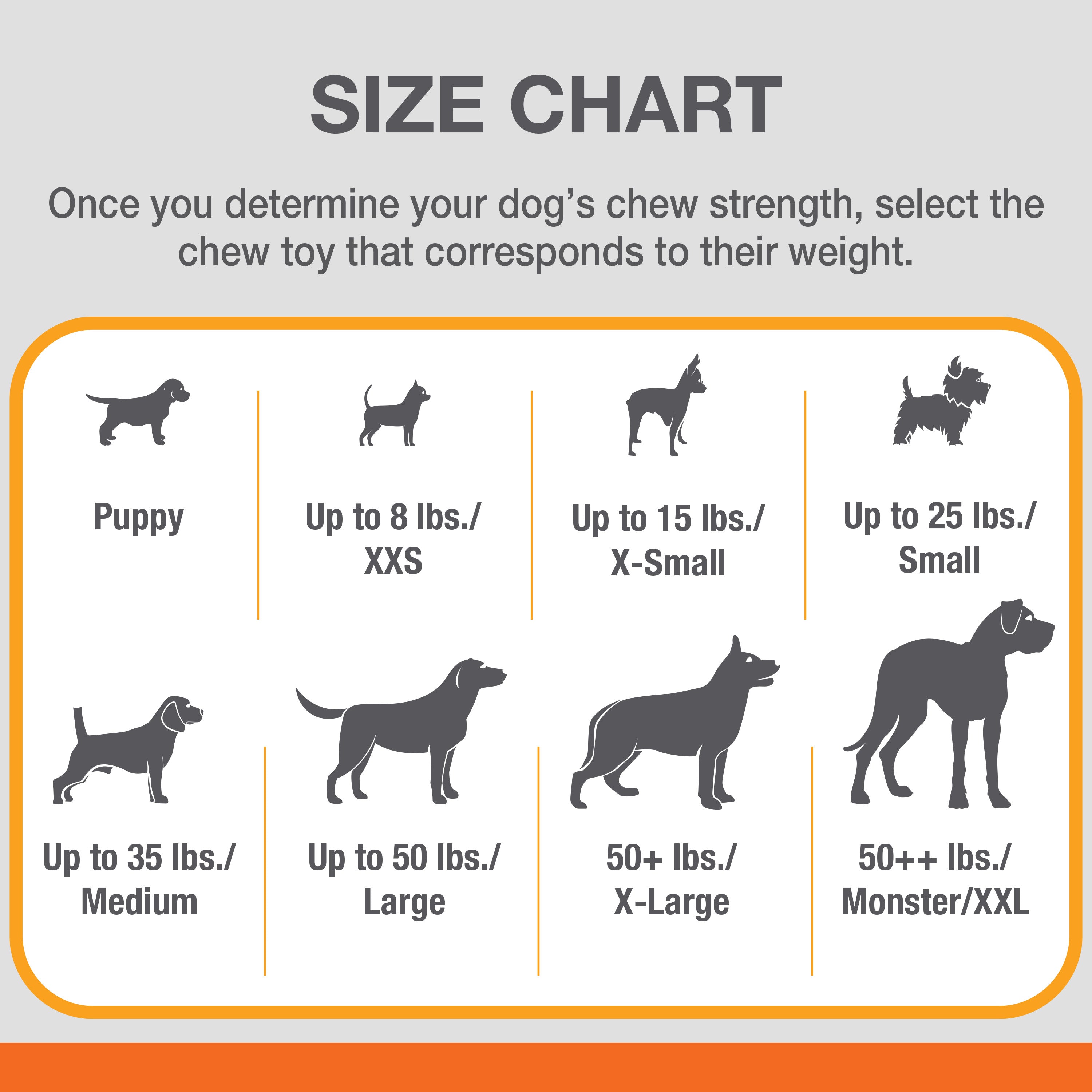 Nylabone Healthy Edibles and Flexi Chew Value Pack Variety, XS/Petite Up To 15 Lbs. 3 ct