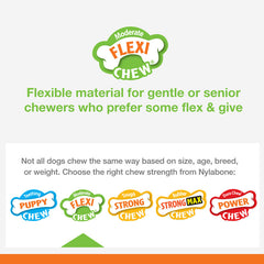 Nylabone Moderate Chew Textured Dog Dental Chew Toy Chicken 1ea/SMall/Regular - Up To 25 Ibs.