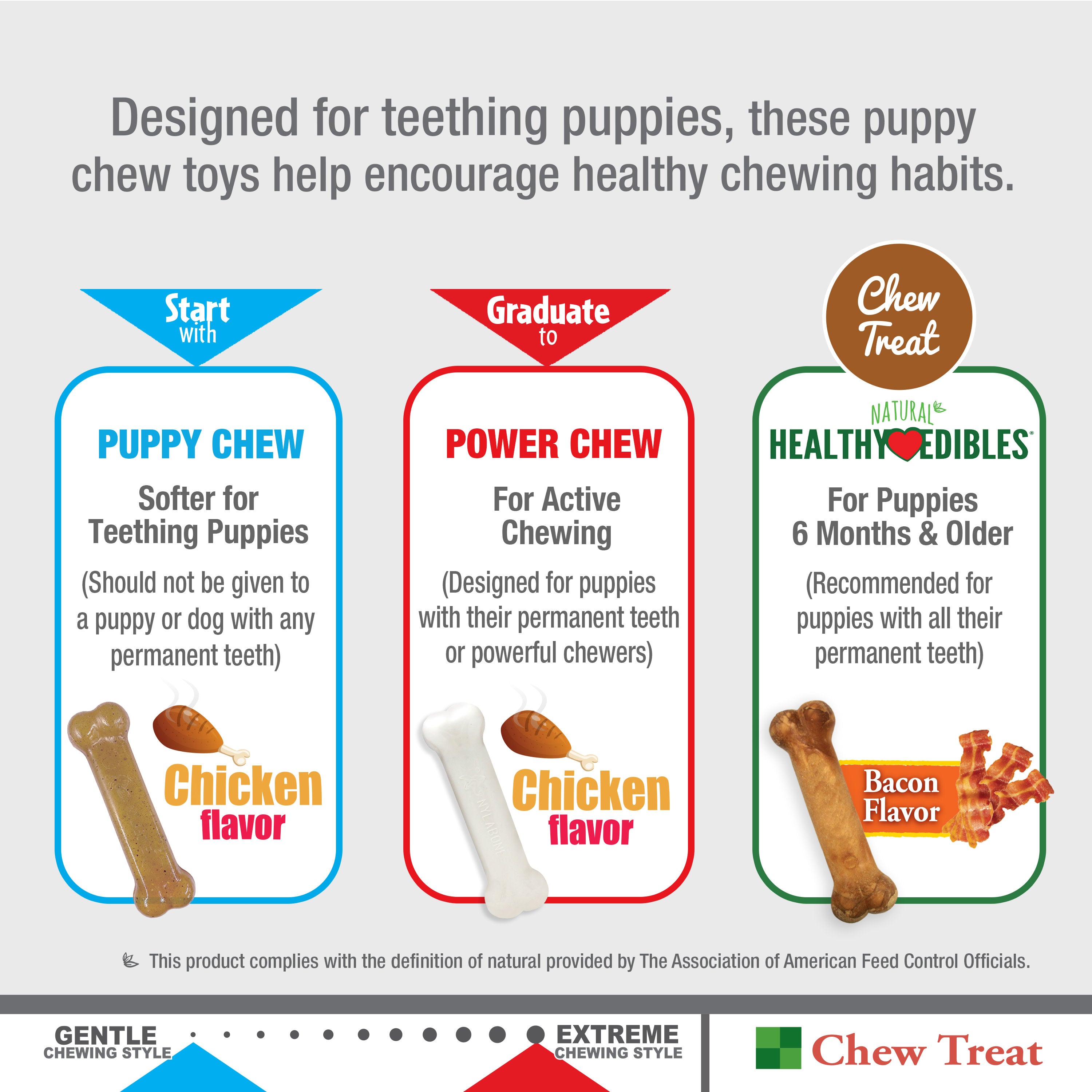 Nylabone Puppy Starter Kit Dog Chew Toys & Treat Chicken & Bacon 1ea/SMall/Regular - Up To 25 Ibs.