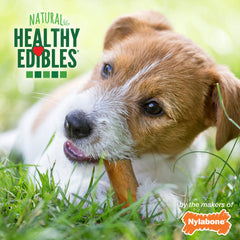 Nylabone Healthy Edibles AllNatural Long Lasting Chew Treats Variety Pack 3 count, SMall/Regular Up To 25 lb
