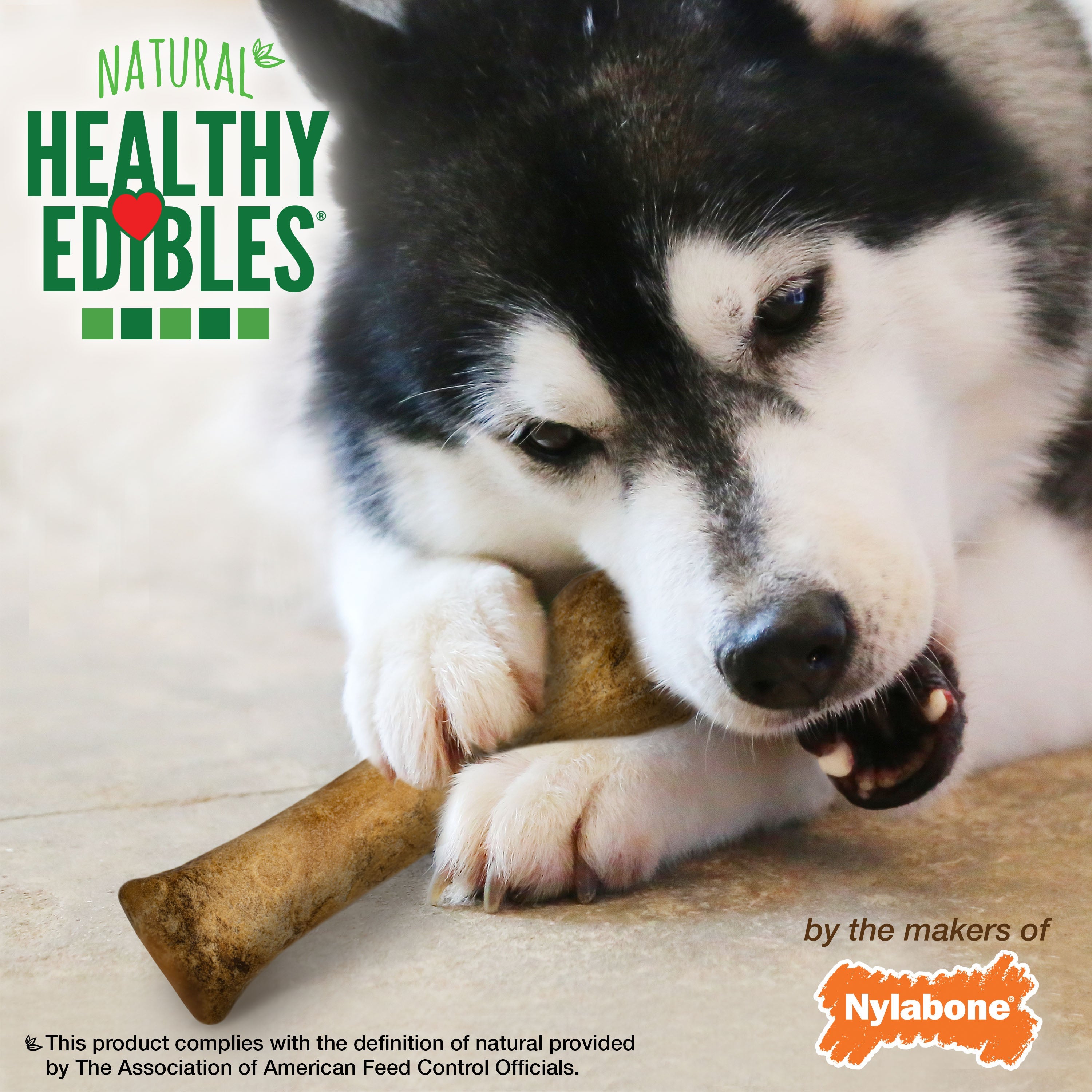 Nylabone Healthy Edibles AllNatural Long Lasting Chicken Dog Chew Treats Chicken, XL/Souper 50 Lbs. 1 ct