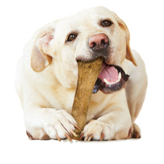 Nylabone Healthy Edibles AllNatural Long Lasting Chicken Dog Chew Treats Chicken, XL/Souper 50 Lbs. 1 ct