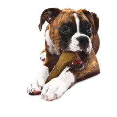 Nylabone Healthy Edibles AllNatural Long Lasting Roast Beef Dog Chew Treats 1 Count, Souper 50 lb