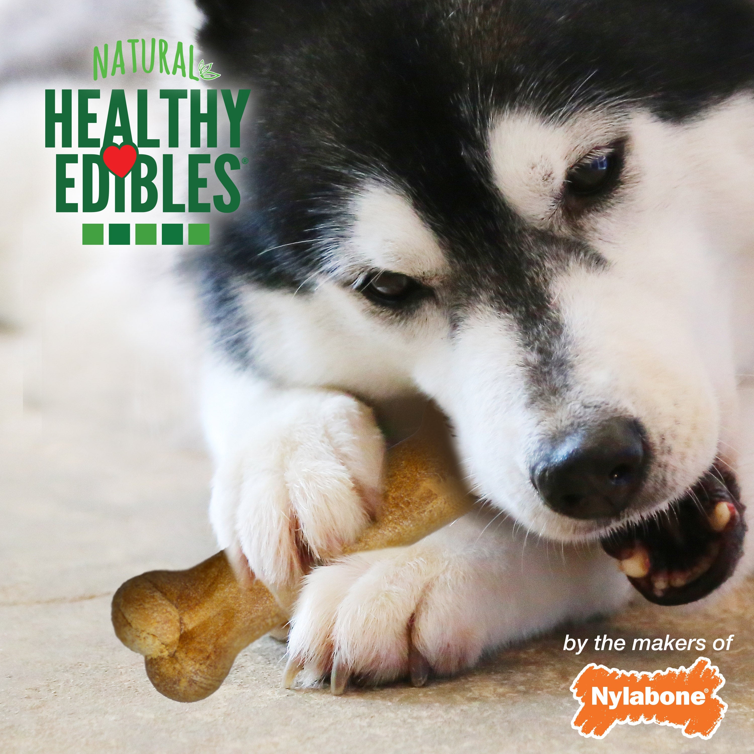 Nylabone Healthy Edibles AllNatural Long Lasting Roast Beef Dog Chew Treats 2 count, Wolf Up To 35 lb