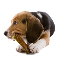 Nylabone Healthy Edibles AllNatural Long Lasting Roast Beef Dog Chew Treats 2 count, Wolf Up To 35 lb
