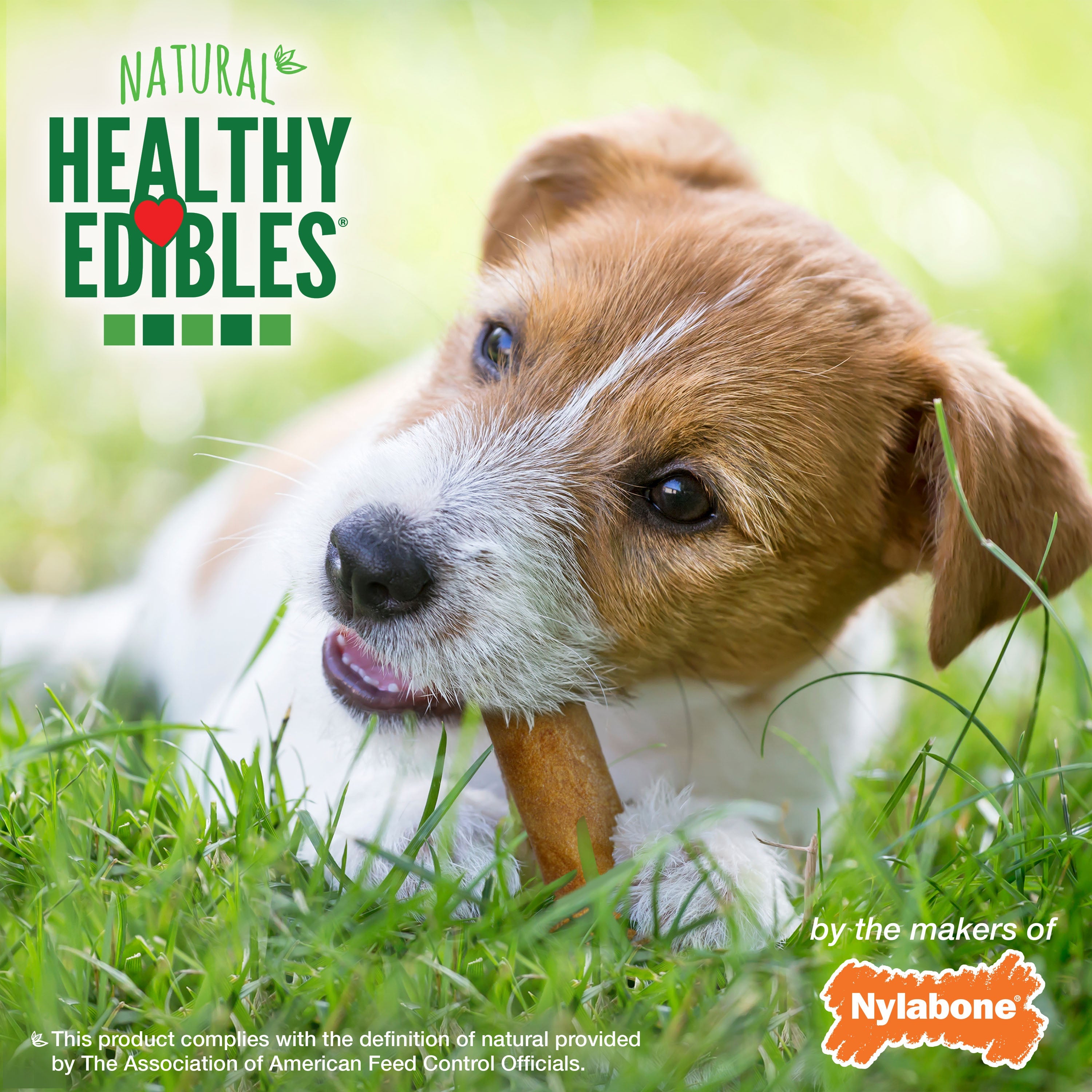 Nylabone Healthy Edibles AllNatural Long Lasting Roast Beef Dog Chew Treats Roast Beef, SMall/Regular Up To 25 Ibs. 3 ct