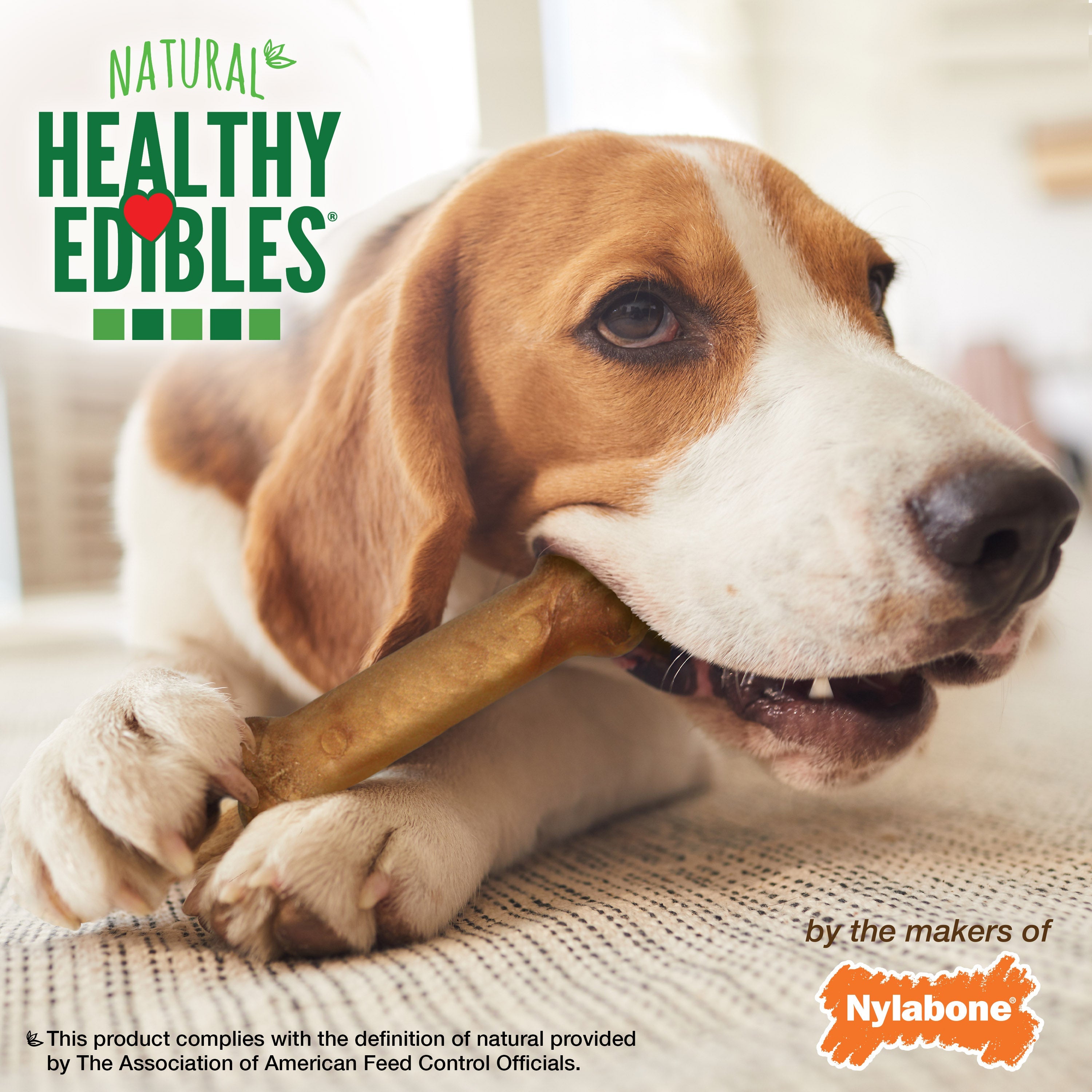 Nylabone Healthy Edibles AllNatural Long Lasting Chicken Dog Chew Treats Chicken, Medium/Wolf Up To 35 Lbs. 2 ct