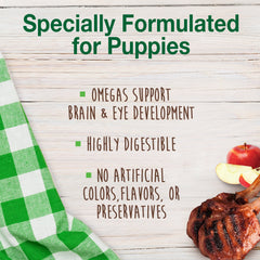 Nylabone Healthy Edibles Puppy AnimalShaped Lamb Apple Dog Chew Treats Lamb Apple, SMall/Regular Up To 25 Ibs. 3 ct
