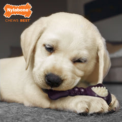 Nylabone Just for Puppies Double Action Bone Puppy Dog Teething Chew Toy Bacon, 1ea/SMall/Regular Up To 25 Ibs. 1 ct