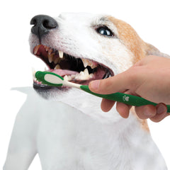 Nylabone Advanced Oral Care Natural Dog Dental Kit Peanut Butter, 1ea/2.5 oz 3 ct