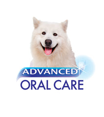 Nylabone Advanced Oral Care Natural Toothpaste Peanut Flavor 1ea/2.5 oz