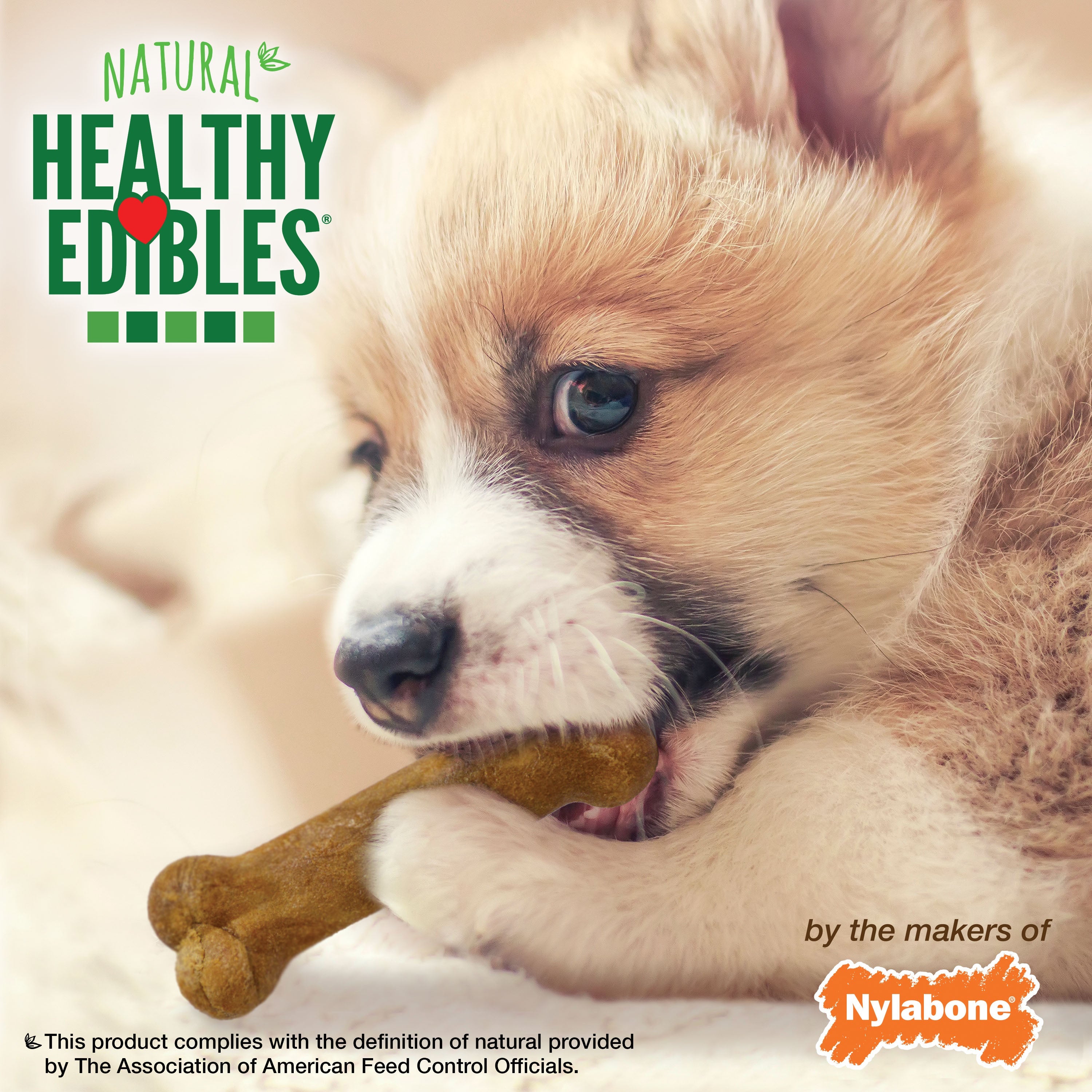 Nylabone Healthy Edibles Puppy AnimalShaped Lamb Apple Dog Chew Treats Lamb Apple, XS/Petite Up To 15 Lbs. 8 ct