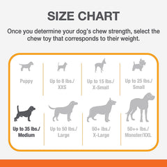 Nylabone Barbell Power Chew Durable Dog Toy Peanut Butter 1ea/Medium/Wolf - Up To 35 lb