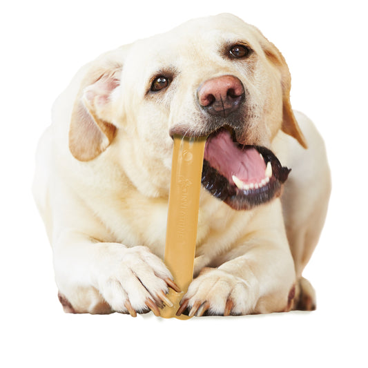 Nylabone Power Chew Dog Toy Peanut Butter 1ea/Large/Giant - Up To 50 lb