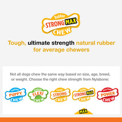 Nylabone Flavor Frenzy Strong Chew Dog Toy Bacon & Cheeseburger 1ea/SMall/Regular - Up To 25 Ibs.