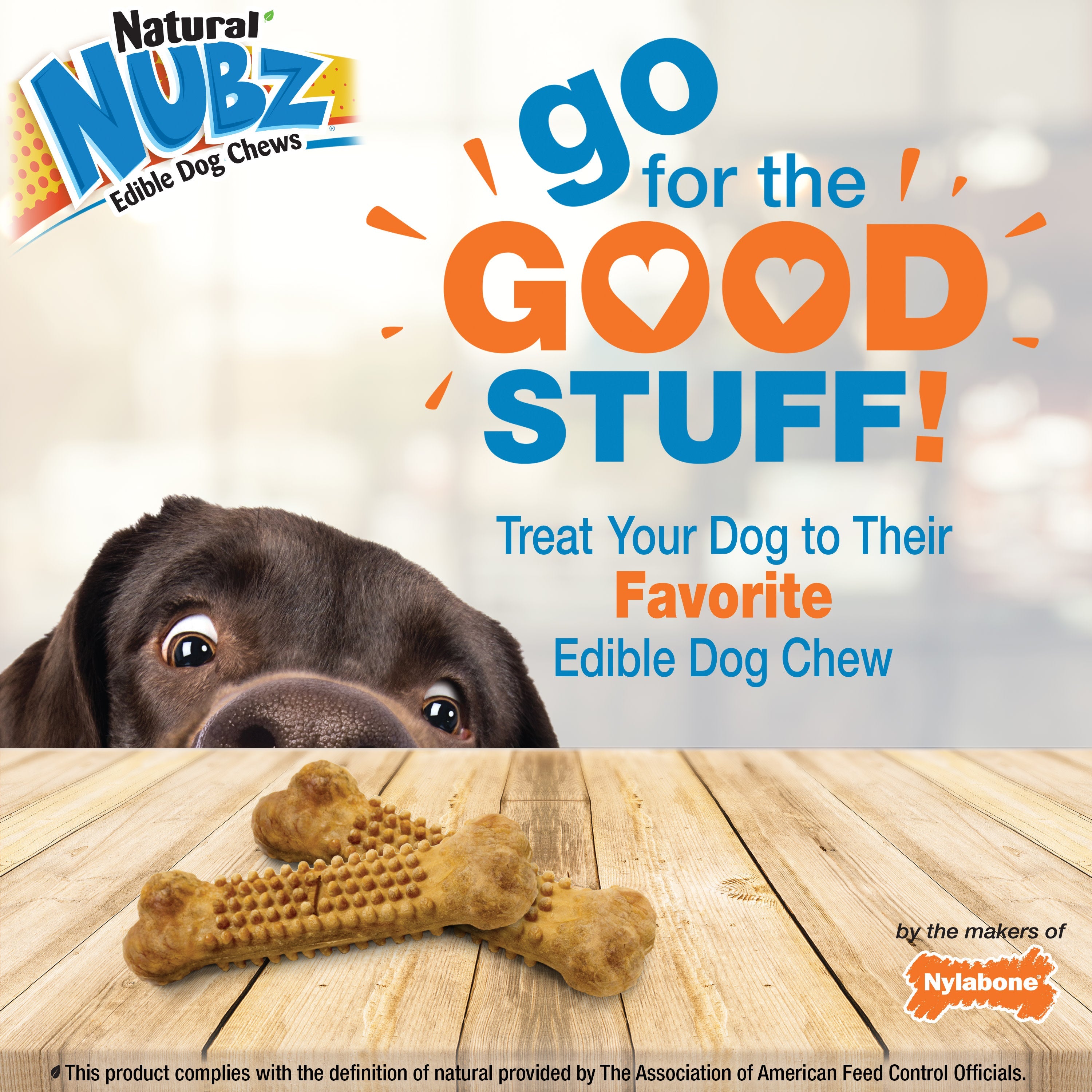 Nylabone Natural Nubz Chicken Dog Treats Chicken, Large 30 Lbs. 2 ct