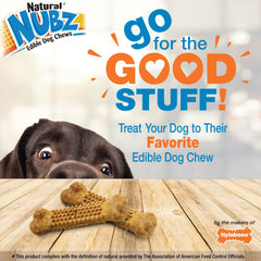 Nylabone Natural Nubz Chicken Dog Treats Chicken, Large 30 Lbs. 2 ct
