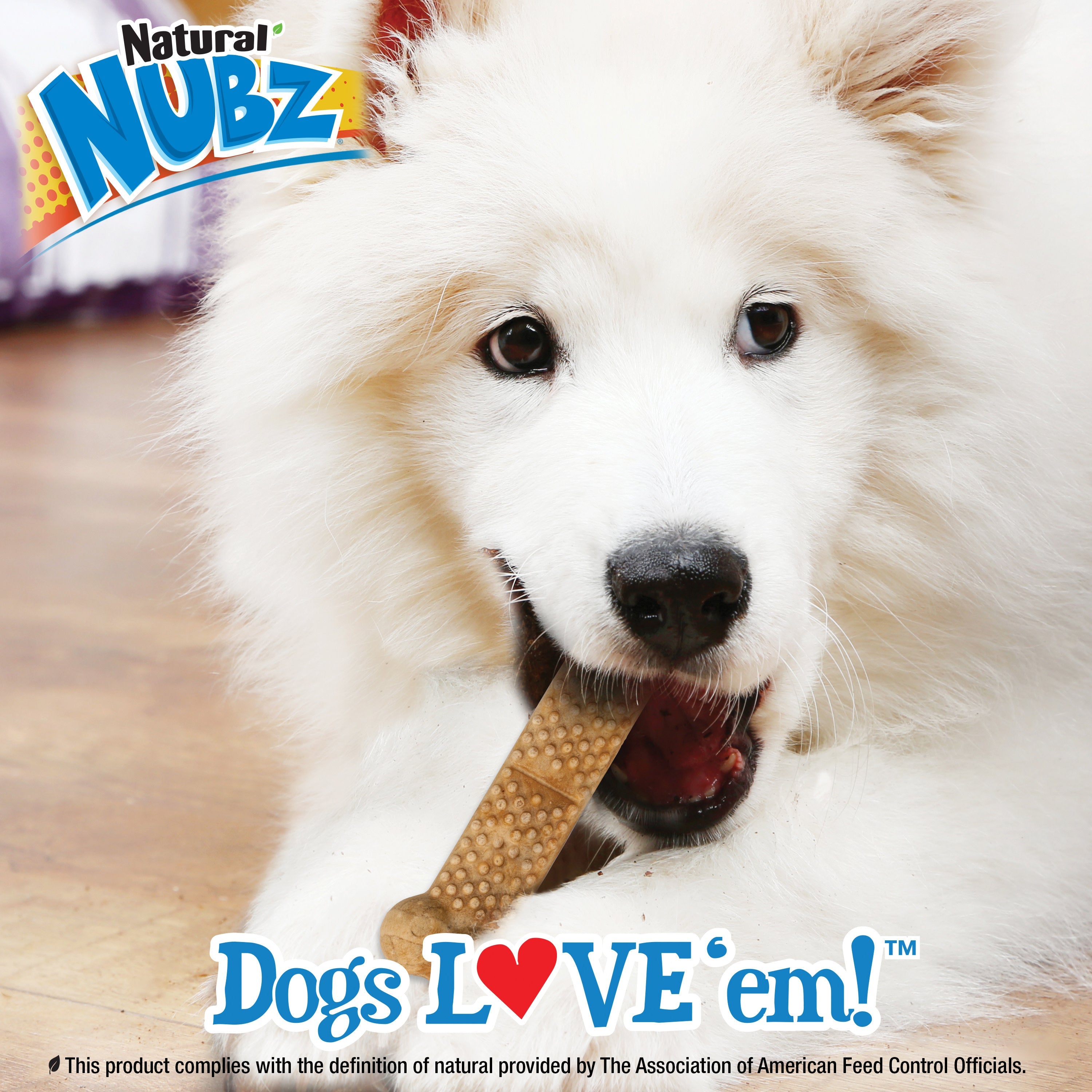 Nylabone Natural Nubz Chicken Dog Treats Chicken, Large 30 Lbs. 2 ct