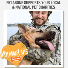 Nylabone Natural Nubz Chicken Dog Treats Chicken, Large 30 Lbs. 2 ct
