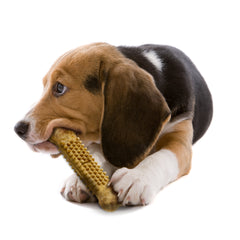 Nylabone Natural Nubz Chicken Dog Treats Chicken, Large 30 Lbs. 2 ct