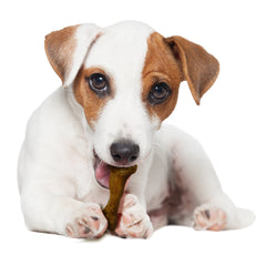 Nylabone Healthy Edibles WILD Natural Long Lasting Bison Dog Chew Treats Bison, SMall/Regular Up To 25 Ibs. 8 ct
