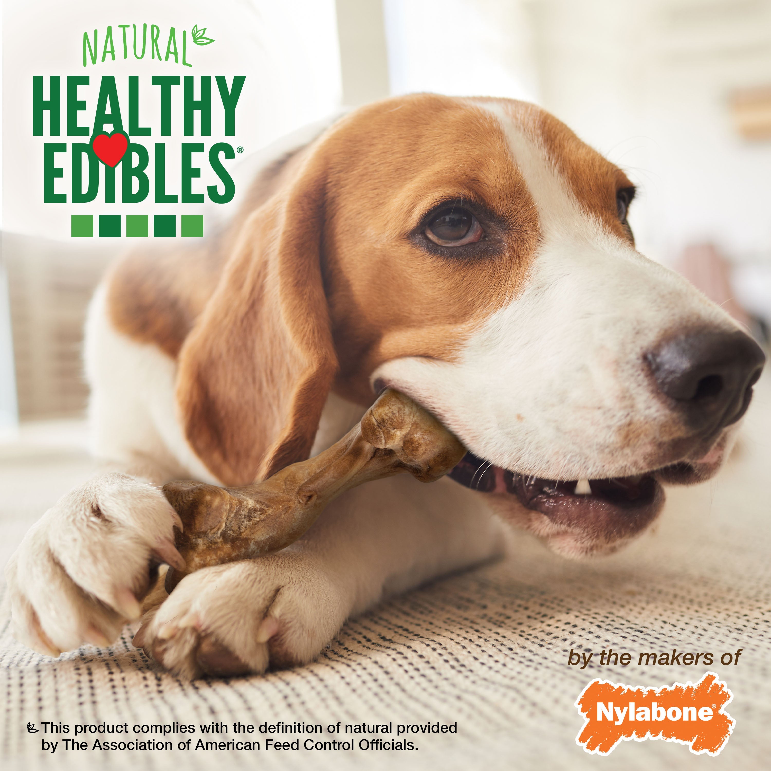 Nylabone Healthy Edibles WILD Natural Long Lasting Bison Dog Chew Treats Bison, Medium/Wolf Up To 35 Lbs. 2 ct