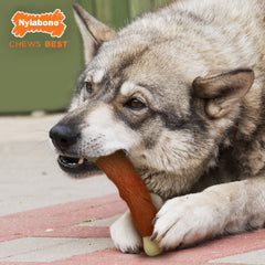 Nylabone Power Chew Marrow Bone Alternative Dog Chew Toy Beef, 1ea/Large/Giant Up To 50 Lbs. 1 ct