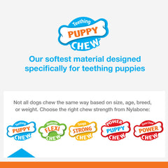 Nylabone Puppy Dental Dinosaur Chew Toy for Teething Puppies Chicken, 1ea/SMall/Regular Up To 25 Ibs. 1 ct
