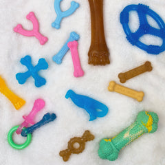 Nylabone Puppy Dental Dinosaur Chew Toy for Teething Puppies Chicken, 1ea/SMall/Regular Up To 25 Ibs. 1 ct
