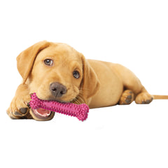 Nylabone Puppy Chew Variety Toy Treat Triple Pack Chicken Lamb Starter Kit, SMall/Regular Up To 25 Ibs.