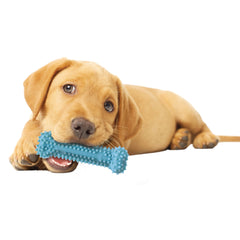 Nylabone Puppy Chew Variety Toy Treat Triple Pack 3 count, SMall/Regular Up To 25 Ibs.