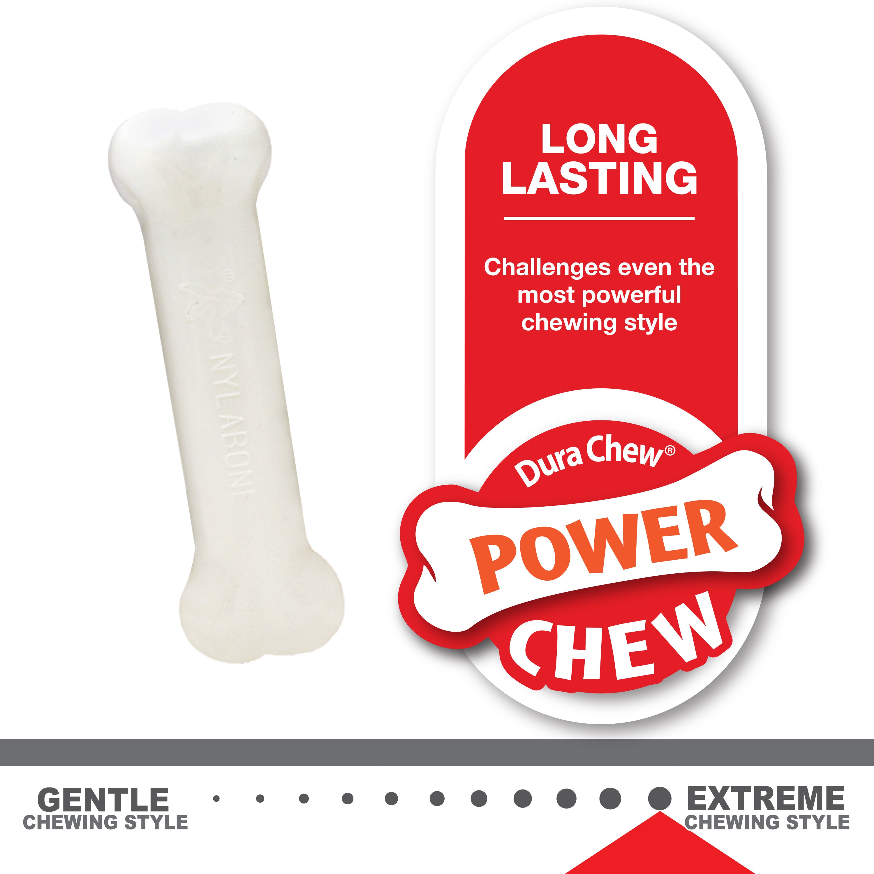 Nylabone Puppy Chew Variety Toy Treat Triple Pack 3 count, SMall/Regular Up To 25 Ibs.