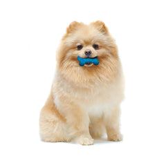 Nylabone Moderate Chew FlexiChew Bone Peanut Butter & Bacon 1ea/XXS/Tiny - Up To 8 lb