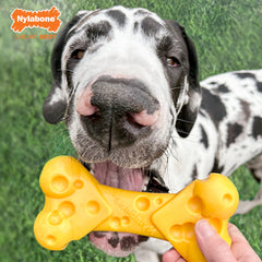 Nylabone Power Chew Cheese Dog Toy Cheese, 1ea/XL/Souper 50 Lbs. 1 ct