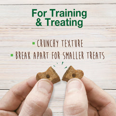 Nylabone Healthy Edibles Biscuits Grain Free Dog Treats Peanut Butter & Apple 1ea/12 oz