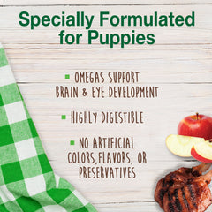Nylabone Healthy Edibles Puppy AnimalShaped Lamb Apple Dog Chew Treats Lamb Apple, SMall/Regular Up To 25 Ibs. 4 ct