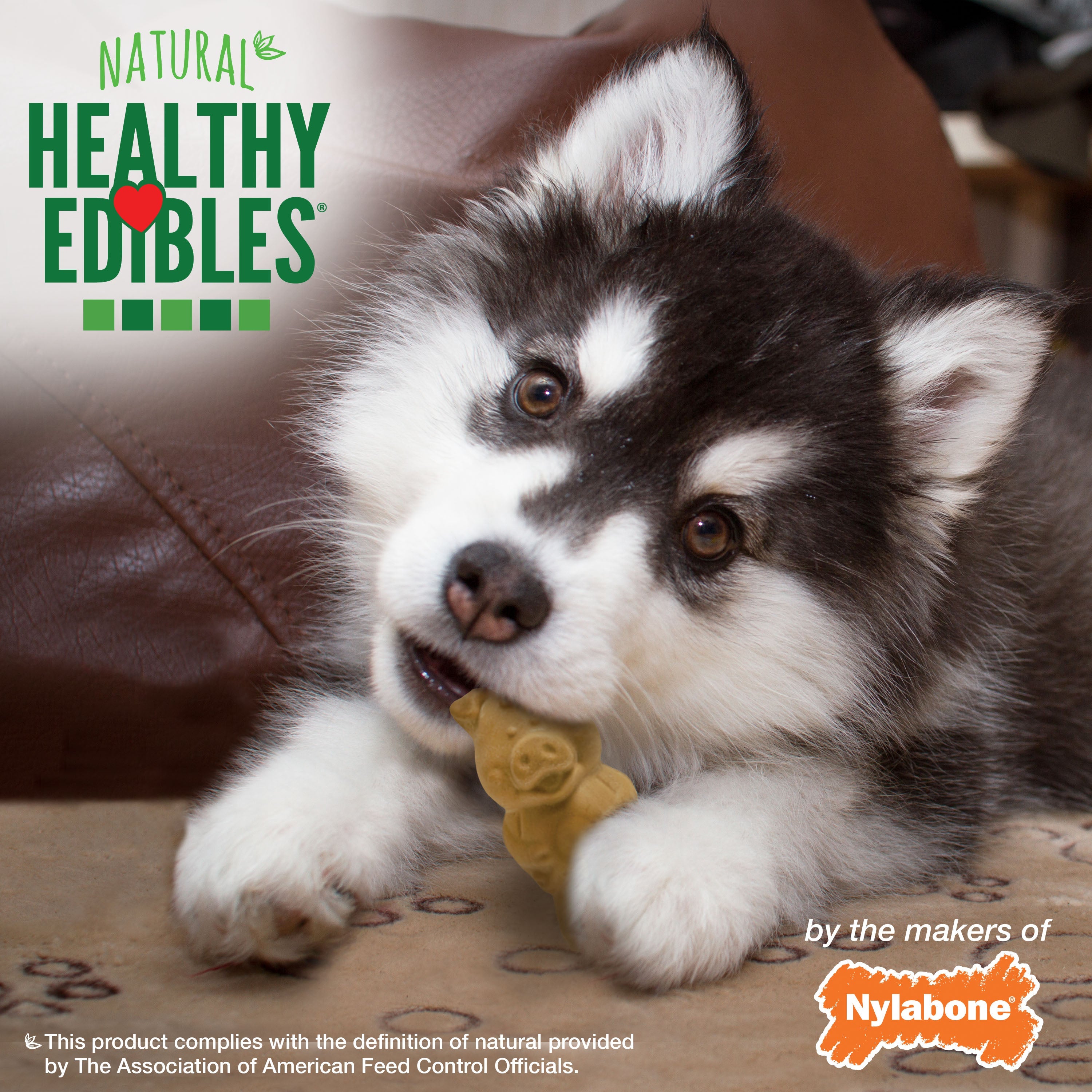 Nylabone Healthy Edibles Puppy AnimalShaped Lamb Apple Dog Chew Treats Lamb Apple, SMall/Regular Up To 25 Ibs. 12 ct