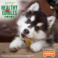 Nylabone Healthy Edibles Puppy AnimalShaped Lamb Apple Dog Chew Treats Lamb Apple, SMall/Regular Up To 25 Ibs. 12 ct