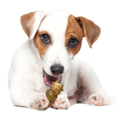Nylabone Healthy Edibles Puppy AnimalShaped Lamb Apple Dog Chew Treats Lamb Apple, SMall/Regular Up To 25 Ibs. 12 ct