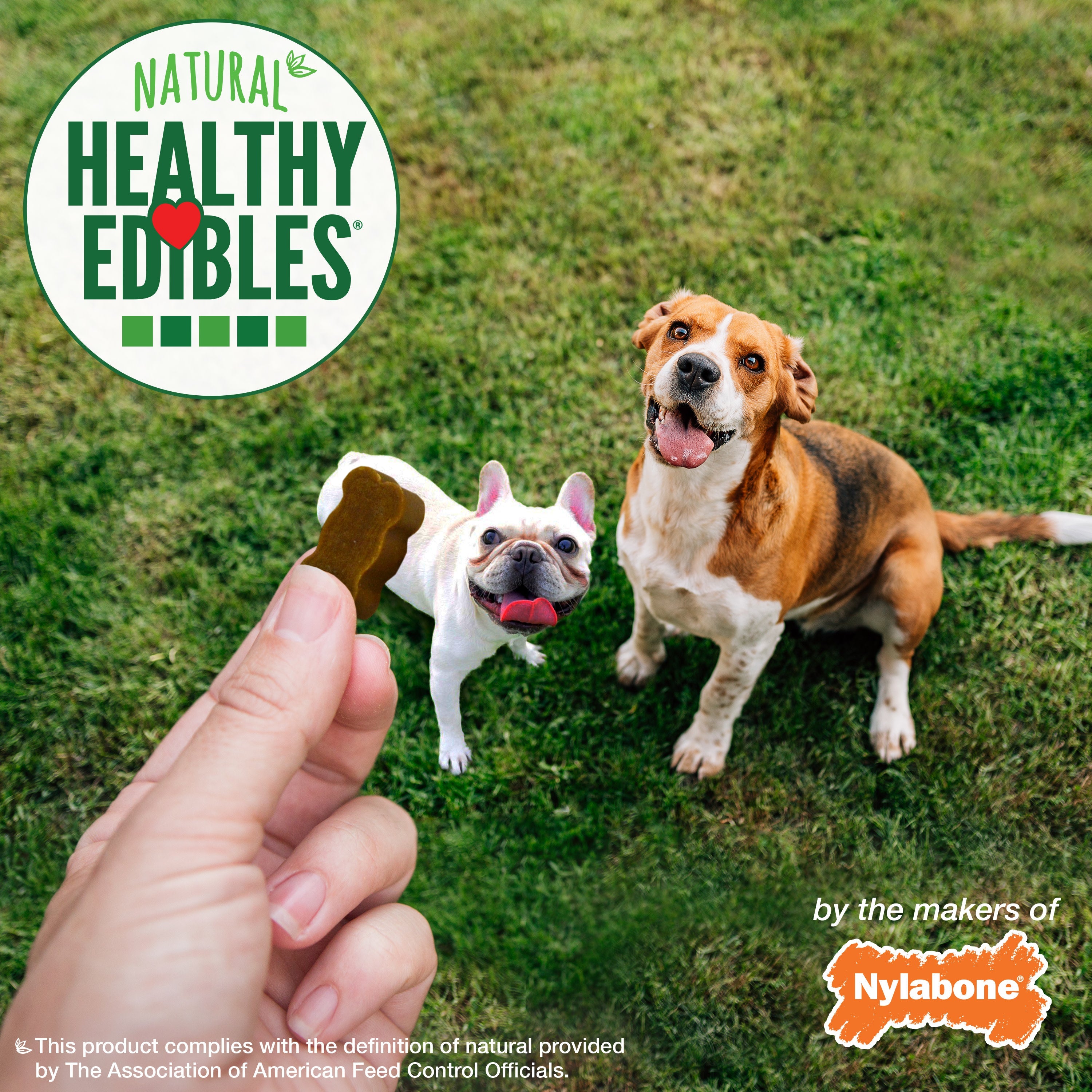 Nylabone Healthy Edibles Chewy Bites Soft Dog Treats Beef Cheese, 6 oz 1 ct