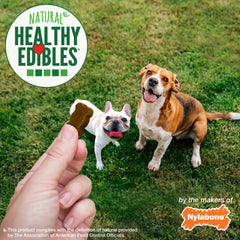 Nylabone Healthy Edibles Chewy Bites Soft Dog Treats Beef Cheese, 6 oz 1 ct