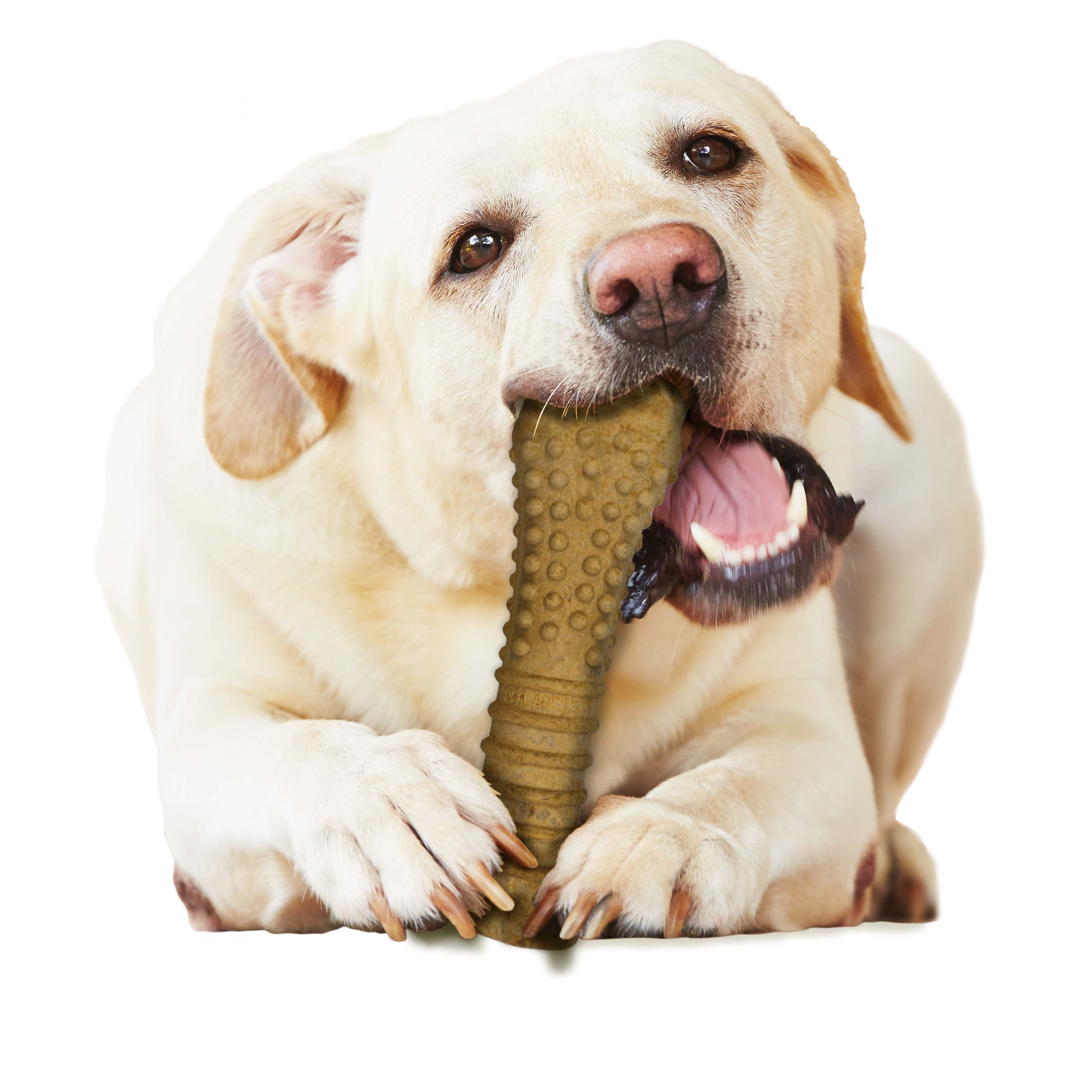 Nylabone Healthy Edibles AllNatural Long Lasting Peanut Butter Dog Chew Treats 1 Count, Peanut Butter, XL/Souper 50 Lbs. 1 ct