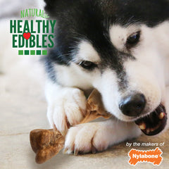 Nylabone Healthy Edibles Broth Bone Natural Dog Treats 16 count, Regular Up To 25 Ibs.